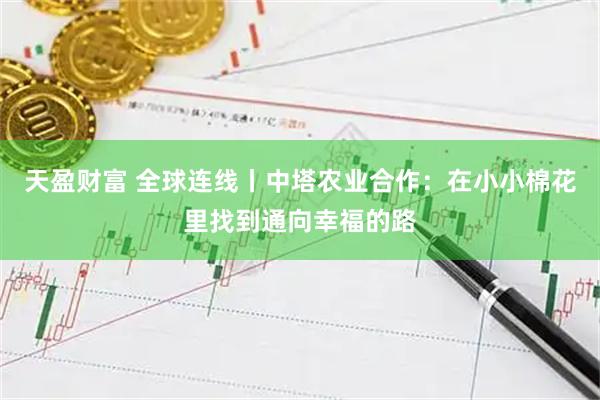 天盈财富 全球连线丨中塔农业合作:在小小棉花里找到通向幸福的路